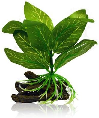 Deep Blue Betta Plant Small Echinodorus 3-4"