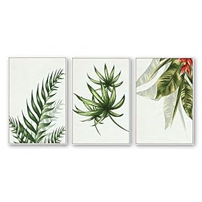 Framed Canvas Wall Art for Living Room, Bedroom Beautiful Plants Cactus Canvas Prints for Home Decoration Ready to Hanging - 16"x24"x3 Panels