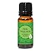 Edens Garden Focus, Focus, Focus Essential Oil Blend- 100% Pure Premium Grade, Undiluted, Natural, Therapeutic, Aromatherapy, The Best for Diffusing, Kid Safe, Humidifiers, Skin 10 ml (.33 fl oz)