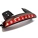 Motorcycle LED Rear Brake License Plate Tail Light Stop Running Lamp for Harley Davidson Cruiser(Smoke Lens)