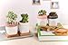 Potaroma Set of 3 Modern Planters (Snowflake_Pro)