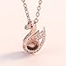 D-XinXin Creative 100 Languages I Love You Projection Present Necklace Beautiful Memory Valentine’s Day Mother’s Day Present Rhinestone Swan Charm Necklacesthumb 2