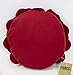 Fennco Styles Eva's Flower Garden Decorative Filled Throw Pillow 13