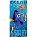 S.L. Home Fashions 15pc Disney Finding Nemo & Dory Shower Curtain Bath Towel Foam Mat Hooks Set