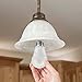 TCP 40W Equivalent LED Light, Non-Dimmable, Daylight (5000K) (Pack of 6)