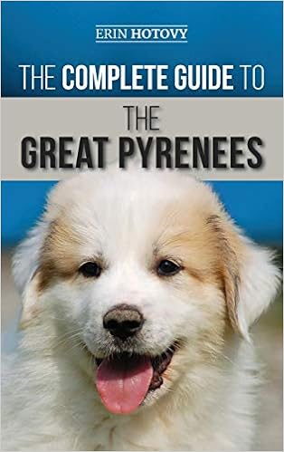 feeding a great pyrenees puppy