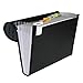 C-Line 7-Pocket Expanding File, Letter Size, 1 Expanding File, Fashion Circle Series, Black/Gray (56012), 7-Pocket (Letter Size)