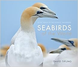 Amazon Com Seabirds Of The World Secret Realm Of The Oceans Wanderers 9781921517679 Tipling David Books secret realm of the oceans wanderers