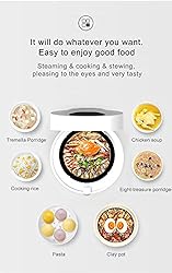 GUANGZHIAN Smart Small Portable Travel Electric