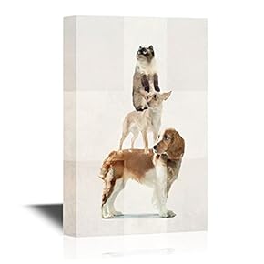 Vet Canvas Wall Art - Funny Dogs and Cats Pet Theme Wall Art - Gallery Wrap Modern Home Art | Ready to Hang - 12x18 inches