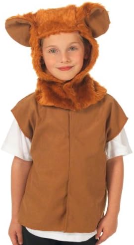 Lion Costume for Kids. One Size. 3-9 Years.