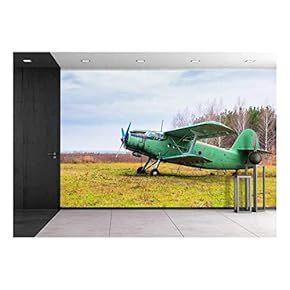 Old Airplane on Field in Autumn Time - Removable Wall Mural | Self-Adhesive Large Wallpaper - 66x96 inches