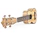 Donner Zebrawood Ukulele Soprano DUS-2 21 inch Ukulele Kit with Case Tuner Strap Nylon String