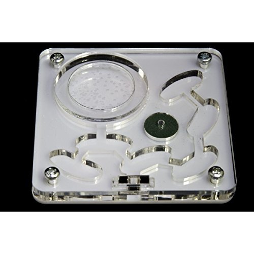 Farm-Ameisenburg Formicaio Acrilico Trasparente 15x15cm - Osservazione Formiche Vive | Gioco Educativo - Foto 14