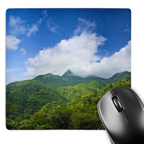 3D Rose "Puerto Rico El Yunque National Forest RainforestCa27 Mgl0043Miva Stock…