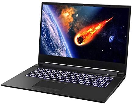 HoMei 8 GB RAM, 512 GB SSD, 17.3" IPS Full HD 6 Core 9th Gen Intel Core i7-9750H Gaming Notebook Laptop, NVIDIA GeForce GTX 1660 Ti 6 GB GDDR6 graphics, 1 TB HDD, Backlighting Keyboard