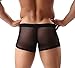 Mens Sexy Underwear Breathable Mesh Boxer Briefs See Through Hollow Lingerie