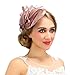 Valdler Women Cambric Mesh Retro Fascinators Suitable for All Hair Style