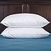 puredown Goose Feather Down Bed Pillows for Sleeping with 2 Outer Protectors, Hotel Standard/Queen Pillows Set of 2 with Cotton Fabric Cover (Pack of 2)