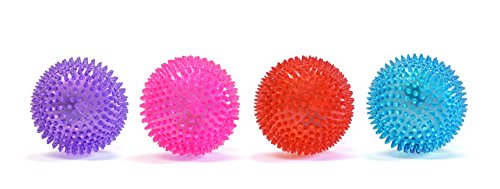 Gnawsome Large Squeaker Ball Dog Toy, Extra Large 4.5"h, Colors will vary