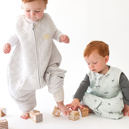 Tealbee DREAMSUIT Toddler Sleep Sack with Feet 2T 3T 1.2 TOG Four Season Baby Wearable