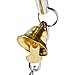 Nipple Clamps Chains with Bells and Nipple Correction Cups Nipplesuckers Nipple clips Set