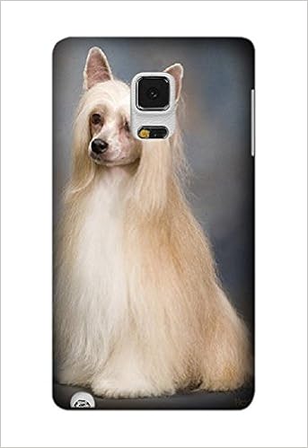 cute chinese crested dog