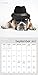 Rachael Hale Dogs Wall Calendar (2017)
