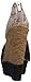 Jessica Simpson Women's Tamica Wedge Sandal