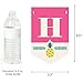 Big Dot of Happiness - Pink Flamingo - Party Like a Pineapple - Tropical Summer Birthday Party Bunting Banner - Pink Party Decorations - Happy Birthday