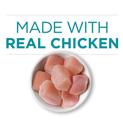 Purina ONE Natural, High Protein, Gravy Wet Cat Food, True Instinct