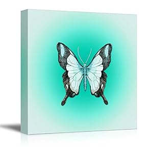 Canvas Wall Art Colorful Butterfly Pictures Home Wall Decorations for Bedroom Living Room Paintings Canvas Prints Framed - 12x12 inches