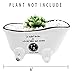 Originalidad French Country Style Bathtub Flower Pot, White Porcelain Vintage Flower Pot Planter, Bathtub Succulent Planter, Ideal for Small Succulent, Soap Dish, Home Decor (Set of 2)