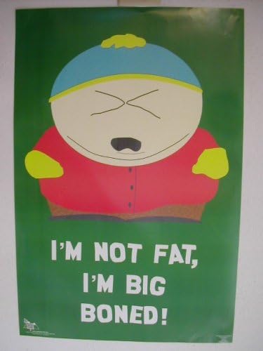 Amazon Com South Park Poster Cartman Southpark Im Not Fat Im Big Prints Posters Prints