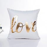 Generic Beauty Sleep Throw Pillow Cover Decorative Pillows Case 18X18