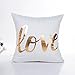 Generic Beauty Sleep Throw Pillow Cover Decorative Pillows Case 18X18