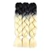 SONNET Synthetic Ombre Jumbo Braiding Hair 3bundles/lot 300g Kanekalon Fiber Hair Extension for Box Twist Braiding with 10pcs Free Decoration Dreadlock Deads (Black/Blonde)
