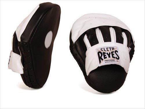 Best Focus Mitts In 2021 Recommended By Boxing Coaches