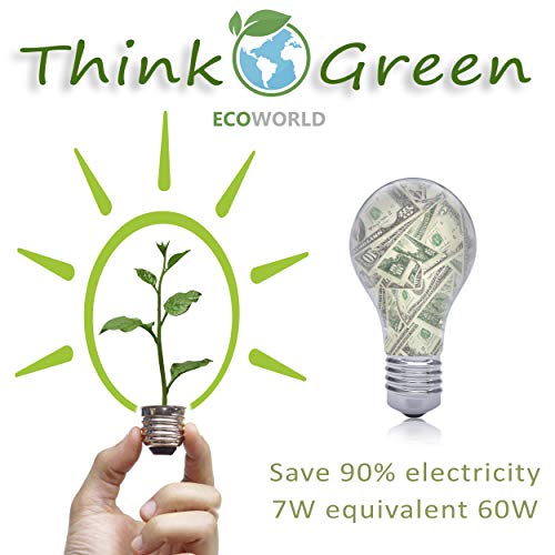 E12 LED Bulbs - Candelabra Light Bulbs, 7 Watt Equivalent 60W Incandescent Bulb, B11 560 Lumens, Daylight White 5000K, Candelabra Base, Non-dimmable, Chandelier&Ceiling Fan Replacement Bulb. 6 Pack.