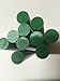 Rhino PDR DARK GREEN GLUE 10