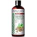 Cold Pressed Castor Oil Conditioner - Premium Hair Regrowth Conditioner with Cold Pressed Castor Oil, For All Hair Types, Moisturizes Hair, Keeps Hair Silky Soft and Smooth, 16 oz (473ml)