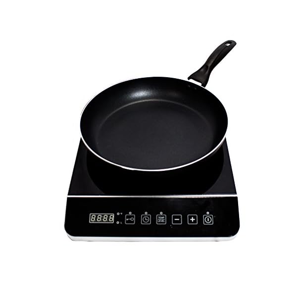 Alpha Living Induction Bottom Aluminum Nonstick FryingPan Grey Fry Pan