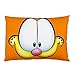 Garfield Pillowcase in Size 18 X 26 Inch and 2 Side Picture in Pillowcases Pillow Case Type #2101