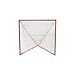 Champion Sports Collegiate Lacrosse Goal: 6x6 Feet Professional Mens & Womens Goal, Orange - Net Sold Separately