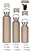 MIRA Alpine Stainless Steel Vacuum Insulated Water Bottle with 2 Lids - Keeps Water Cold for 24 Hours, Hot for 12 Hours - Hydro Bottle BPA-Free Cap, 25 oz (750 ml) - Champagne