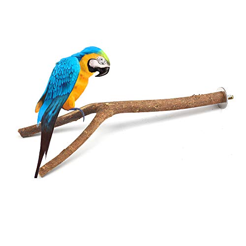 GNB PET 2pcs Bird Perch, Natural Y Shape Wooden Branch for Cage, Bird Parrot Natural Wood Fork Stand Perch Toy Birdcage Stands Pet Bird Toys, 11 Inches