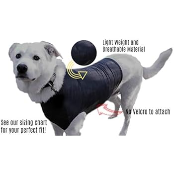 zen dog compression shirt