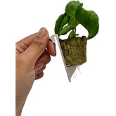 Tower Garden Vertical Growing Clip, White, Small, 30 Count, UV Resistant