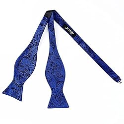 Alizeal Men Self-tied Paisley Bow Tie and Pocket