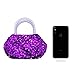 Elesa Miracle Kids Little Girl Toy Playset Sequins Handbag + Heart Sunglasses + Necklace Bracelet and Clip on Earrings Value Set, Purple